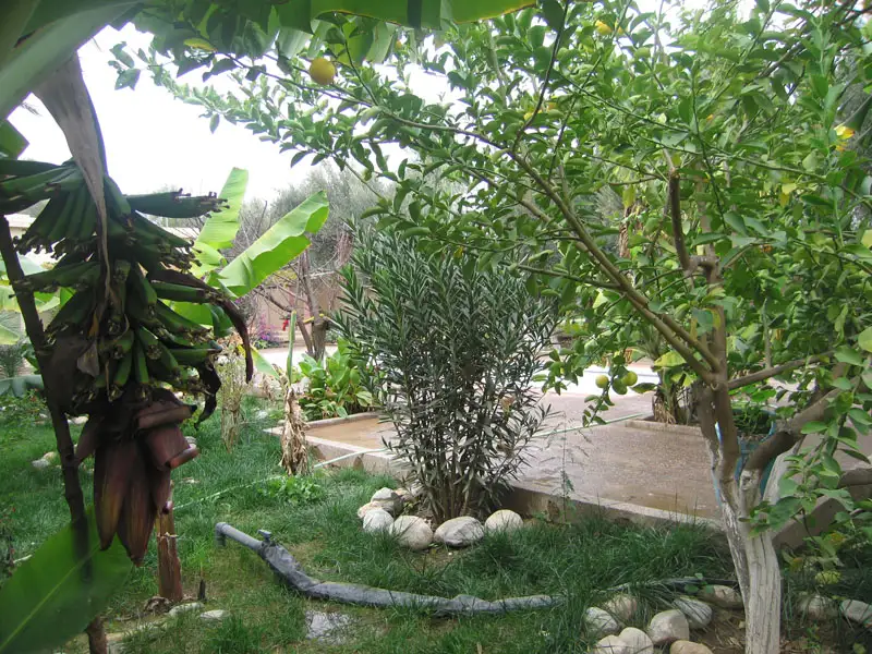 Riad Taroudant — Réf. R13701 — photo 17 — réf. R13701