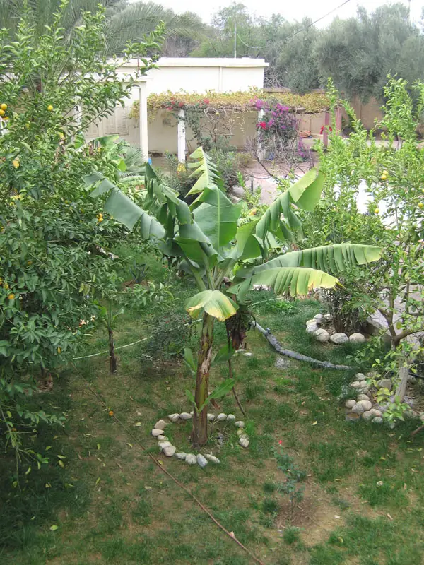 Riad Taroudant — Réf. R13701 — photo 18 — réf. R13701