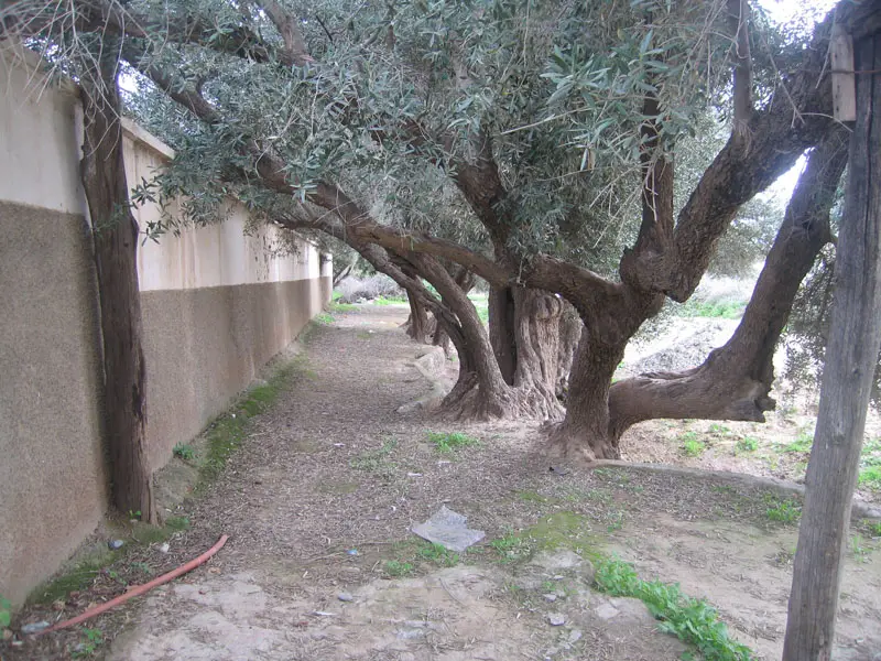 Riad Taroudant — Réf. R13701 — photo 20 — réf. R13701