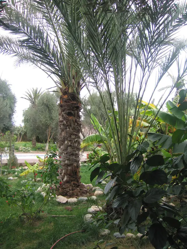 Riad Taroudant — Réf. R13701 — photo 22 — réf. R13701