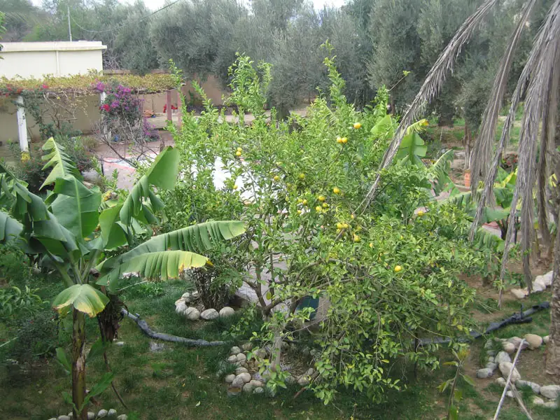 Riad Taroudant — Réf. R13701 — photo 23 — réf. R13701