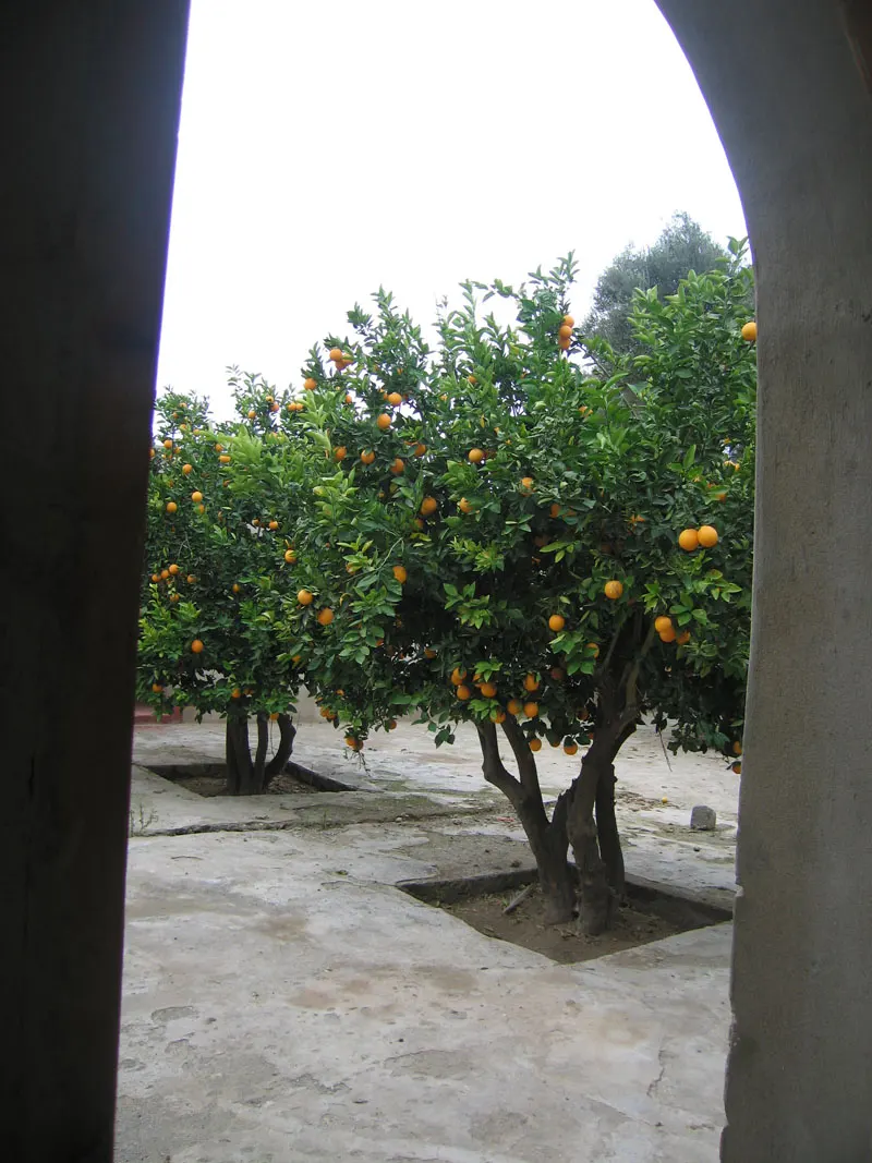 Riad Taroudant — Réf. R13701 — photo 5 — réf. R13701