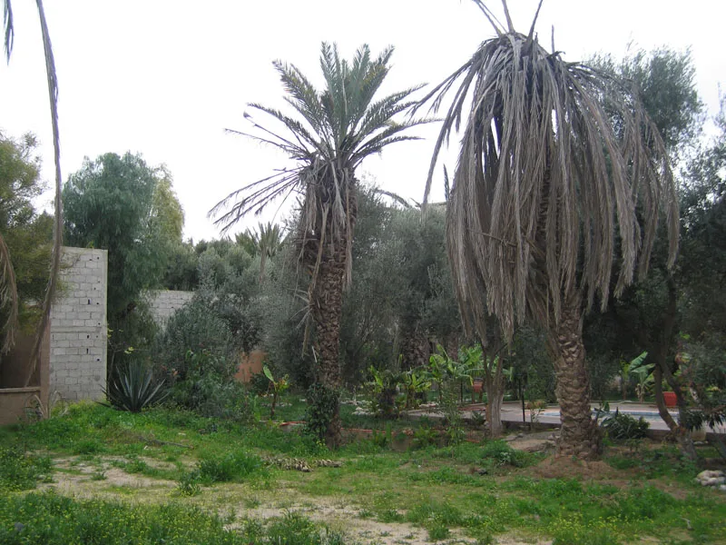 Riad Taroudant — Réf. R13701 — photo 2 — réf. R13701