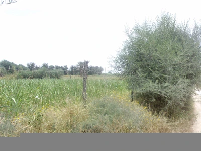 Terrain à vendre à Taroudant maroc — Réf. T13377 — photo 4 — réf. T13377