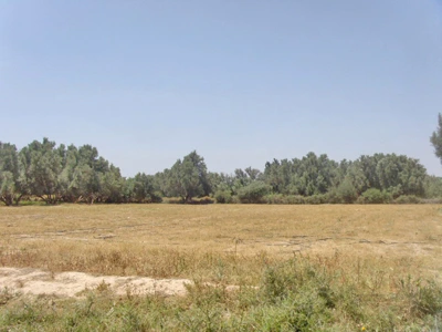 Terrain à vendre à Taroudant maroc — Réf. T13401 — photo 2 — réf. T13401