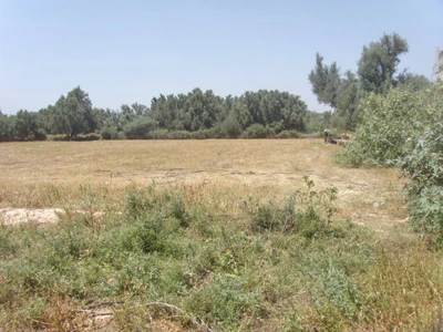 Terrain à vendre à Taroudant maroc — Réf. T13401 — photo 1 — réf. T13401