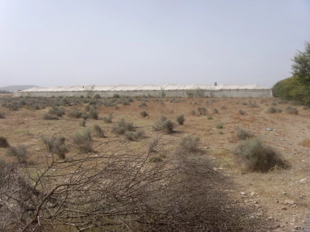 Terrain à Taroudant — Réf. T13443 — photo 2 — réf. T13443