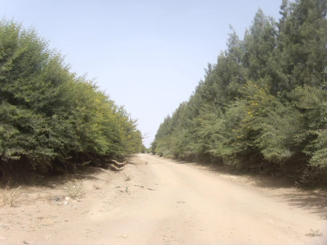 Terrain à Taroudant — Réf. T13443 — photo 1 — réf. T13443