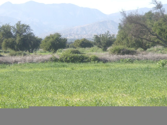 Vente Terrain Taroudant — Réf. T13711 — photo 4 — réf. T13711