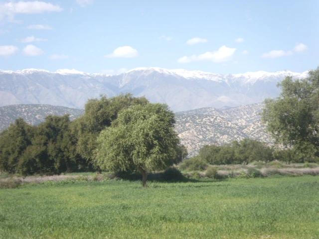 Vente Terrain Taroudant — Réf. T13711 — photo 2 — réf. T13711