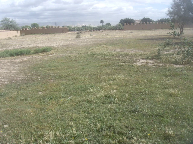 Terrain à vendre à Taroudant — Réf. T13767 — photo 1 — réf. T13767