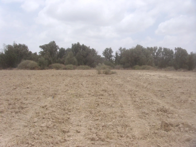 Vente Terrain Taroudant — Réf. T13908 — photo 1 — réf. T13908