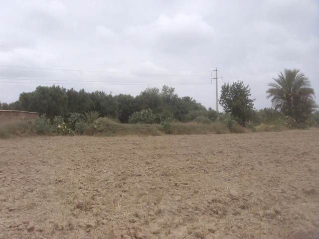 Vente Terrain Taroudant — Réf. T13908 — photo 2 — réf. T13908