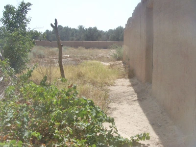 Vente Terrain Taroudant — Réf. T13909 — photo 6 — réf. T13909