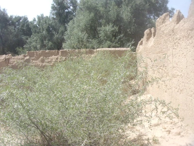 Vente Terrain Taroudant — Réf. T13909 — photo 3 — réf. T13909