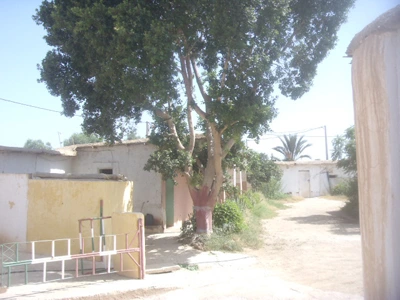 Vente Terrain Taroudant — Réf. T13913 — photo 4 — réf. T13913