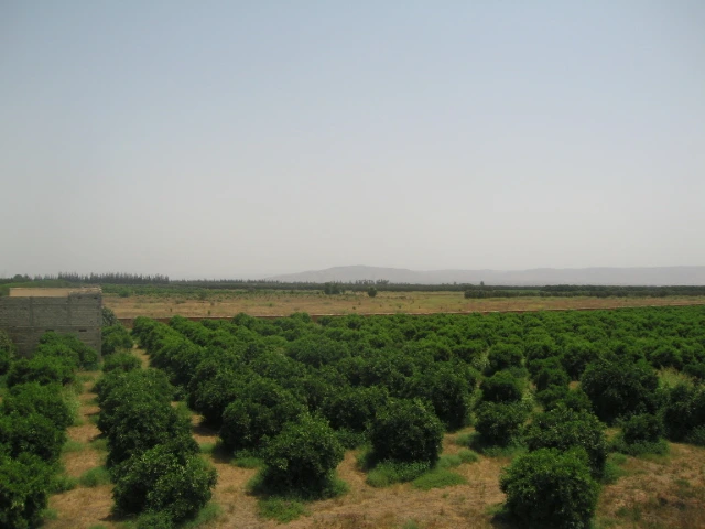 Vente Riad Taroudant — Réf. R13877 — photo 13 — réf. R13877