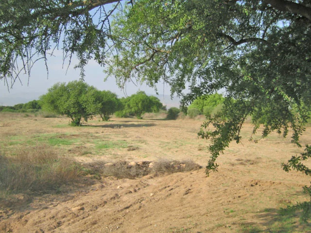 Vente Terrain à Taroudant — Réf. T12424 — photo 5 — réf. T12424