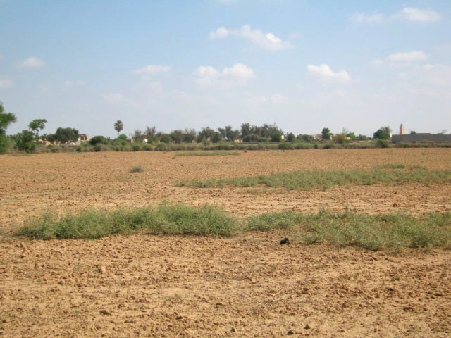 Vente Terrain à Taroudant — Réf. T12426 — photo 2 — réf. T12426