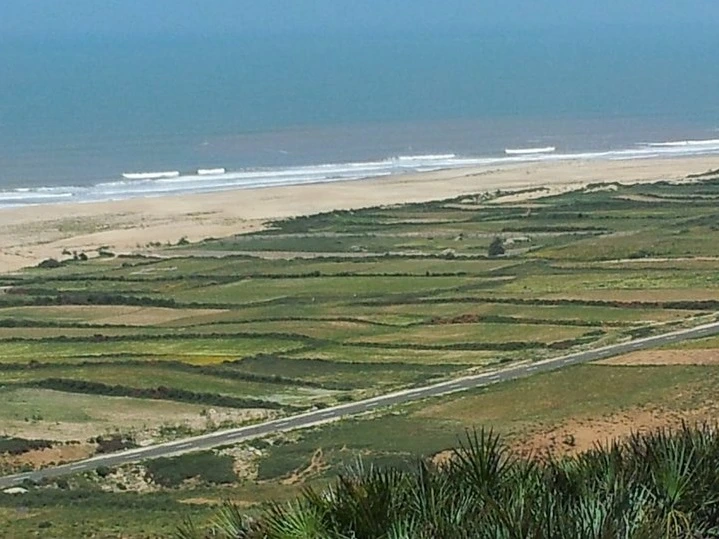 Terrain Essaouira a vendre — photo 1 — réf. T12599