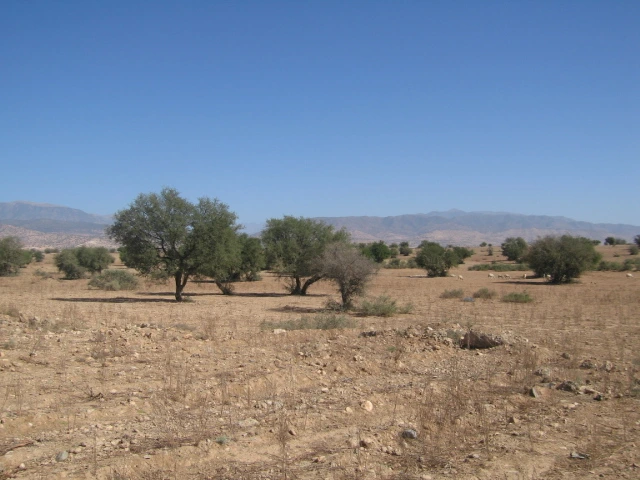 Vente Terrain titré à Taroudant — Réf. T12622 — photo 1 — réf. T12622