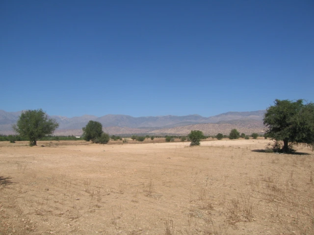 Vente Terrain titré à Taroudant — Réf. T12622 — photo 10 — réf. T12622