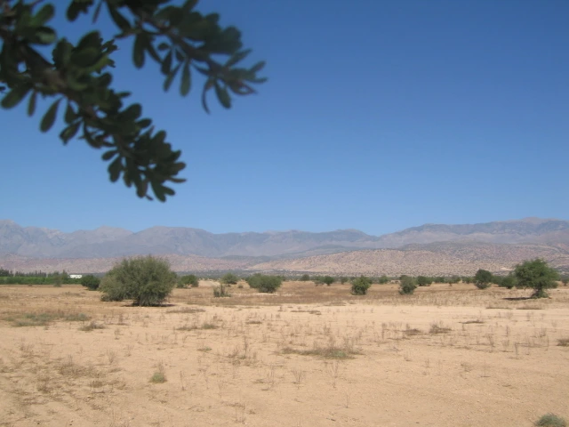 Vente Terrain titré à Taroudant — Réf. T12622 — photo 11 — réf. T12622
