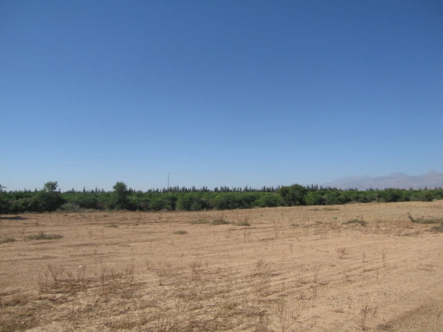 Vente Terrain titré à Taroudant — Réf. T12622 — photo 12 — réf. T12622