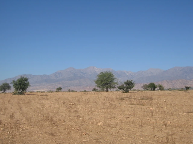 Vente Terrain titré à Taroudant — Réf. T12622 — photo 15 — réf. T12622