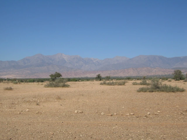 Vente Terrain titré à Taroudant — Réf. T12622 — photo 18 — réf. T12622