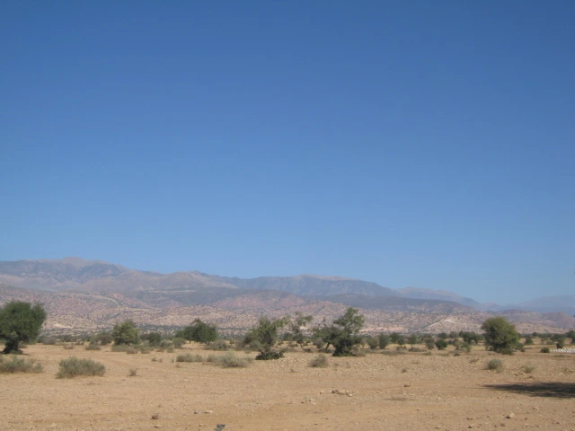 Vente Terrain titré à Taroudant — Réf. T12622 — photo 19 — réf. T12622