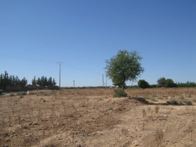 Vente Terrain titré à Taroudant — Réf. T12622 — photo 2 — réf. T12622