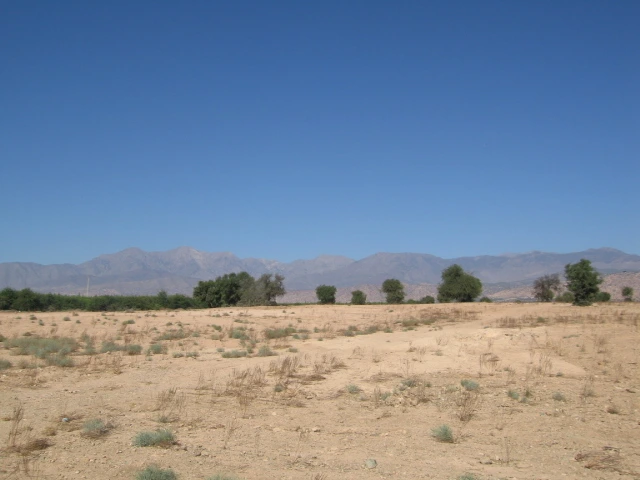 Vente Terrain titré à Taroudant — Réf. T12622 — photo 3 — réf. T12622