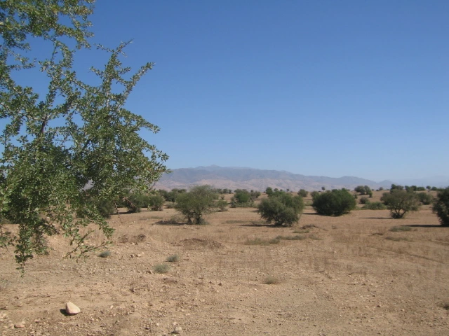 Vente Terrain titré à Taroudant — Réf. T12622 — photo 4 — réf. T12622