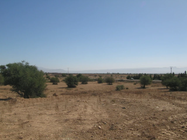 Vente Terrain titré à Taroudant — Réf. T12622 — photo 6 — réf. T12622