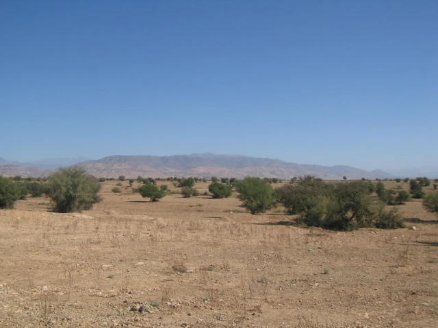 Vente Terrain titré à Taroudant — Réf. T12622 — photo 7 — réf. T12622