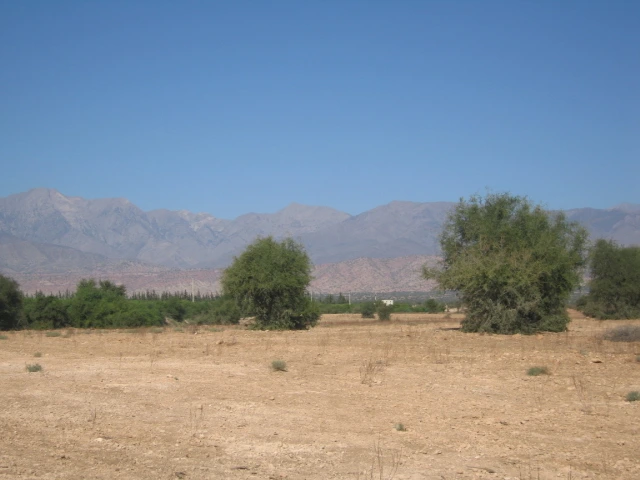Vente Terrain titré à Taroudant — Réf. T12622 — photo 9 — réf. T12622