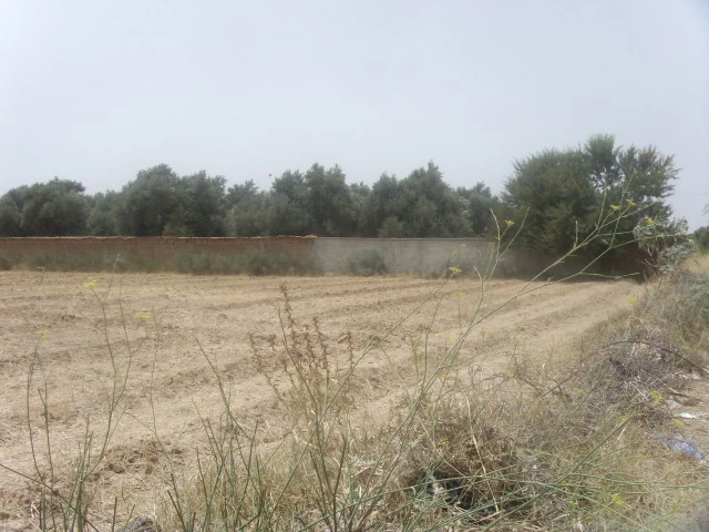 Terrain à Taroudant — Réf. T13538 — photo 3 — réf. T13538