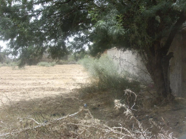 Terrain à Taroudant — Réf. T13538 — photo 5 — réf. T13538
