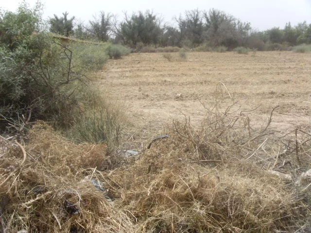 Terrain à Taroudant — Réf. T13538 — photo 7 — réf. T13538