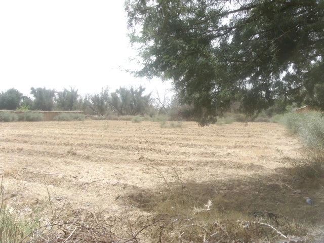 Terrain à Taroudant — Réf. T13538 — photo 1 — réf. T13538
