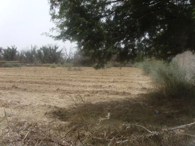 Terrain à Taroudant — Réf. T13538 — photo 6 — réf. T13538