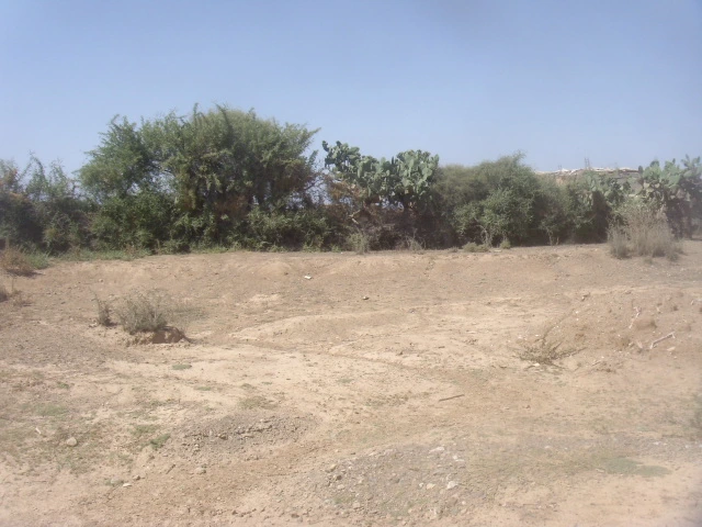 Vente Terrain Taroudant — Réf. M13862 — photo 1 — réf. M13862