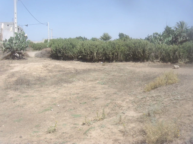 Vente Terrain Taroudant — Réf. M13862 — photo 3 — réf. M13862