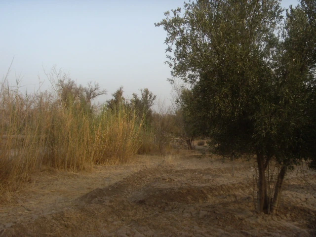 Terrain à vendre à Taroudant maroc — Réf. T14217 — photo 5 — réf. T14217