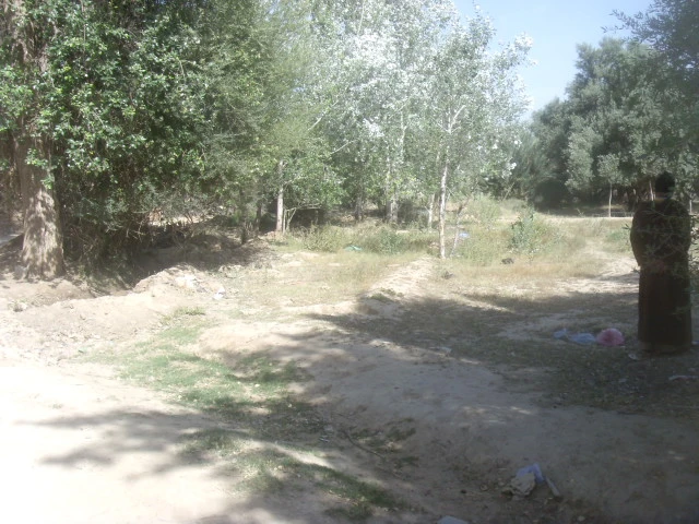 Vente Terrain Taroudant — Réf. T13819 — photo 5 — réf. T13819