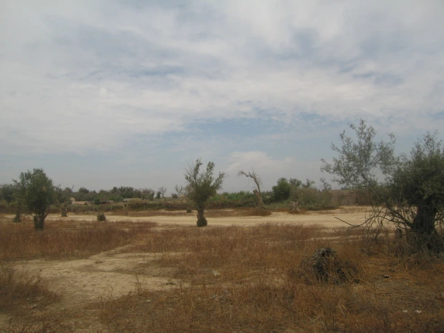 Vente Terrain à Taroudant Maroc — Réf. T12614 — photo 1 — réf. T12614