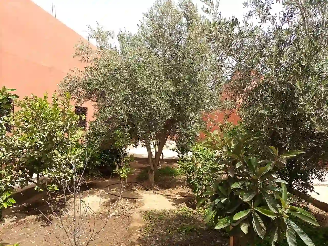 Maison avec jardin — Réf. V154N — photo 31 — réf. V154N