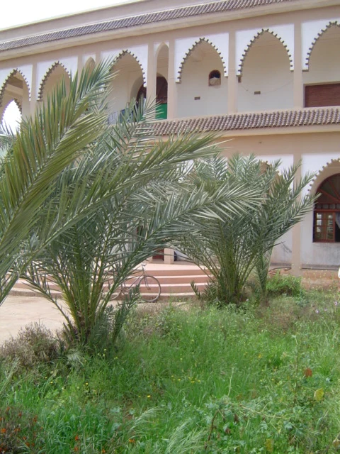 Villa+Ferme a vendre a Taroudant — photo 1 — réf. V10006